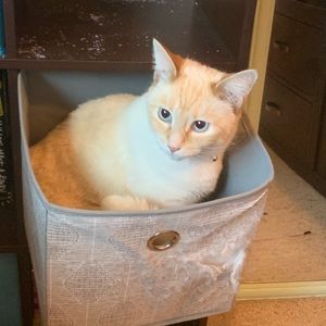 Meet your Posher, Brittany